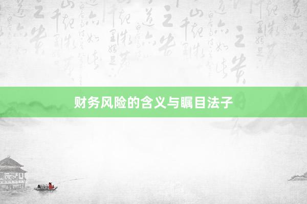 财务风险的含义与瞩目法子
