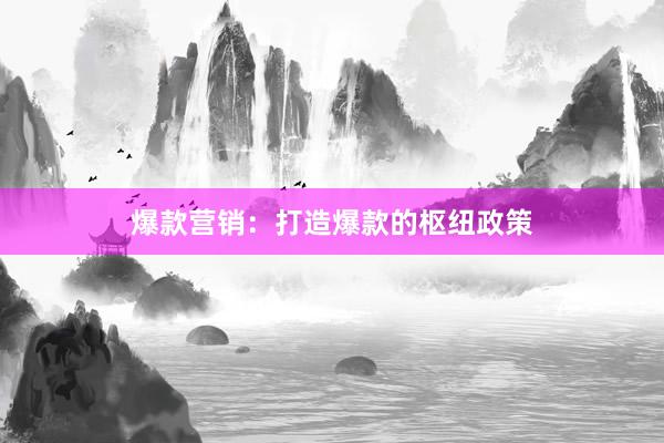 爆款营销：打造爆款的枢纽政策